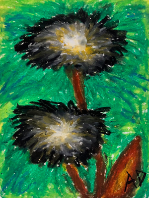 Untitled, Bursts